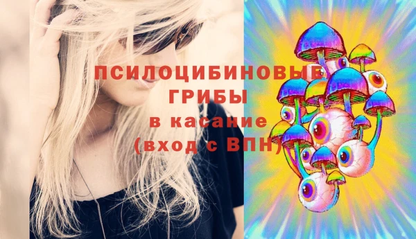 мдпв Белокуриха