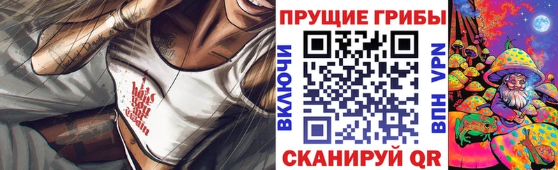маркетплейс какой сайт  Чернушка  Галлюциногенные грибы Cubensis 