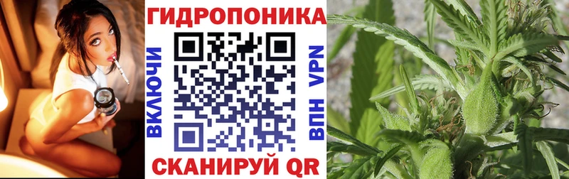 Конопля план  Чернушка 